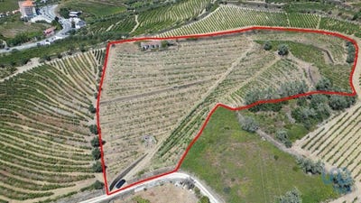 /international/pt/vila-real-vila-real-120086732523/