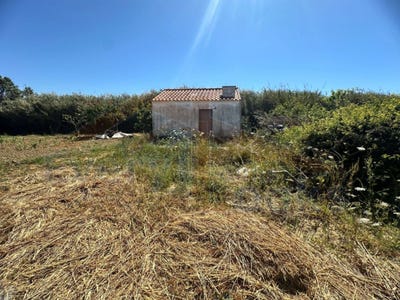 /international/pt/peniche-leiria-310102289810/