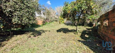 /international/pt/santarem-santarem-310096507942/
