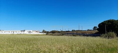 /international/pt/alcochete-setubal-municipality-120091260106/