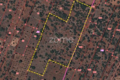 /international/pt/silves-faro-120083693856/?lang=zh-tw