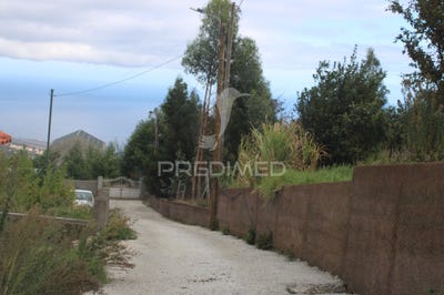 /international/pt/santa-cruz-santa-cruz-madeira-310095140151/