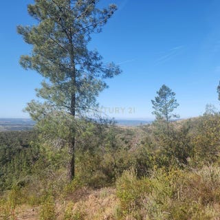 /international/pt/mccf-rj-perais-portugal-perais-castelo-branco-310108320925/