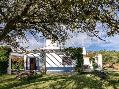 /international/pt/terena-sao-pedro-evora-310104207339/