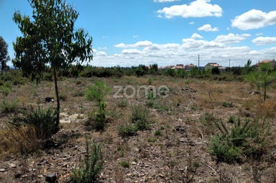 /international/pt/seia-guarda-120086050521/