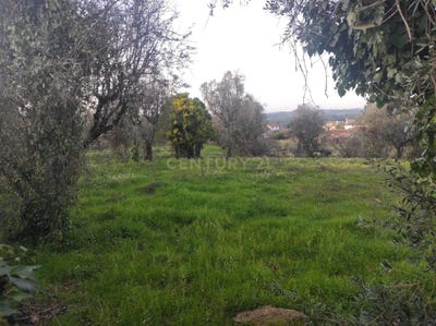 /international/pt/r-paz-12-3500-535-silgueiros-portugal-silgueiros-viseu-310105966486/