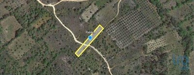 /international/pt/ferreira-do-zezere-santarem-120096358695/