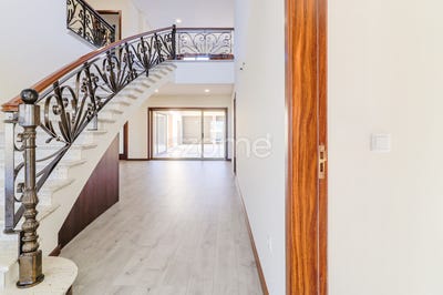 /international/pt/oliveira-do-bairro-aveiro-310105819453/?lang=id