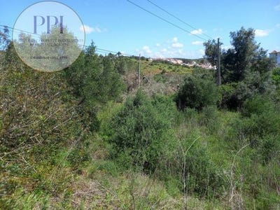 /international/pt/vila-do-bispo-faro-310101390243/?lang=zh-tw