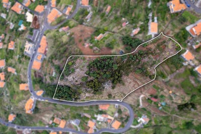 /international/pt/gaula-madeira-310103715404/