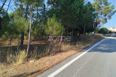 /international/pt/mangualde-viseu-310101945800/