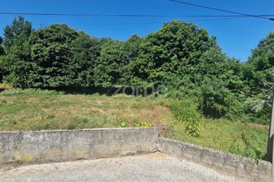 /international/pt/murca-guarda-310104168085/