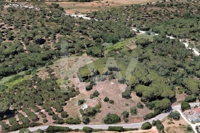 /international/pt/azeitao-sao-lourenco-e-sao-simao-setubal-municipality-310108593211/