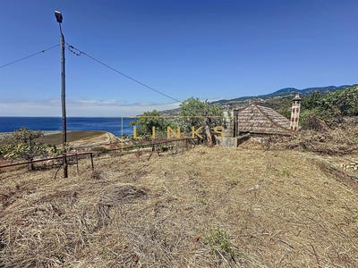 /international/pt/santa-cruz-madeira-310100738982/