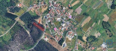 /international/pt/leiria-leiria-310100537860/