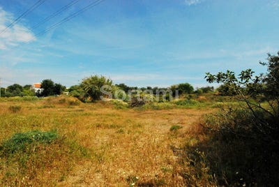 /international/pt/olhao-faro-310107213953/