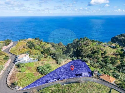 /international/pt/santana-madeira-310107413220/