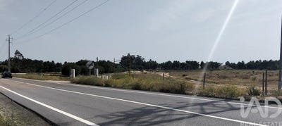/international/pt/santarem-santarem-310108307420/