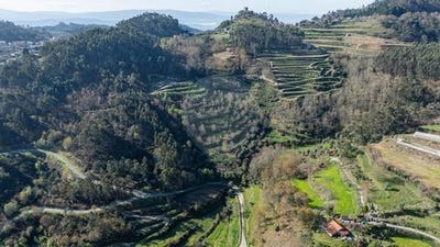 /international/pt/celorico-de-basto-braga-310102346764/