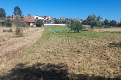 /international/pt/pombal-braga-120093592315/