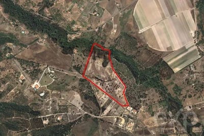/international/pt/boavista-dos-pinheiros-beja-310106774924/