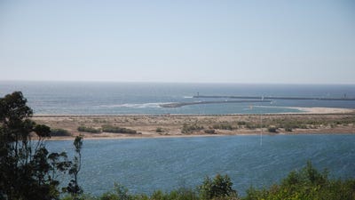 /international/pt/canidelo-porto-310103715271/