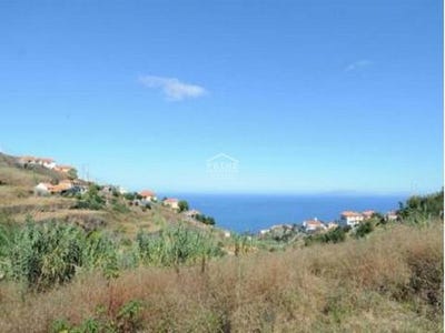 /international/pt/santa-cruz-setubal-municipality-120086468562/