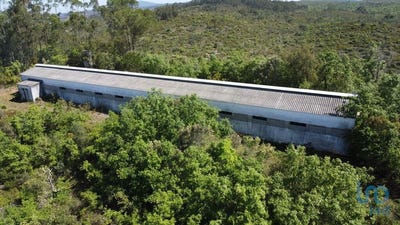 /international/pt/santarem-santarem-310099354794/