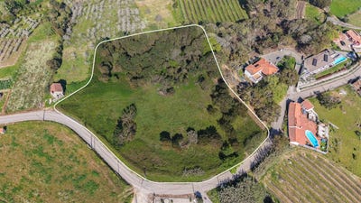 /international/pt/cela-leiria-310107047350/
