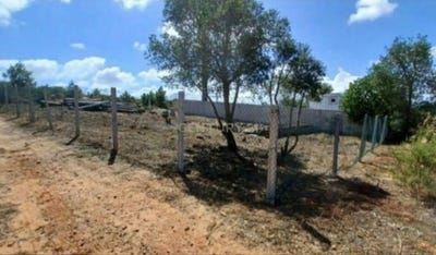 /international/pt/quinta-do-anjo-setubal-municipality-310100276853/