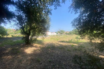 /international/pt/cantanhede-coimbra-310101274231/?lang=zh-tw