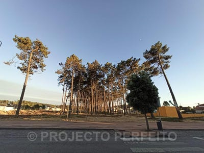 /international/pt/esmoriz-aveiro-120087124135/