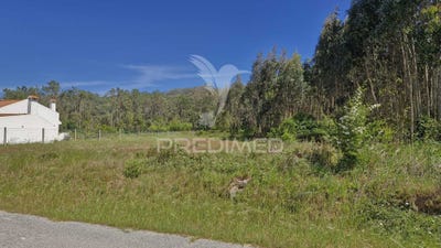 /international/pt/alfeizerao-alcobaca-viana-do-castelo-310108035836/