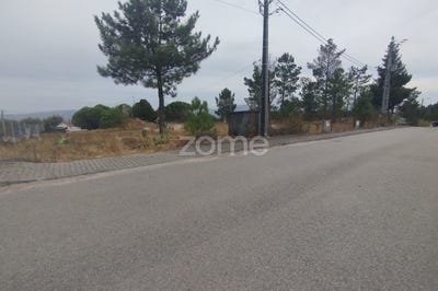 /international/pt/mangualde-viseu-310101961582/
