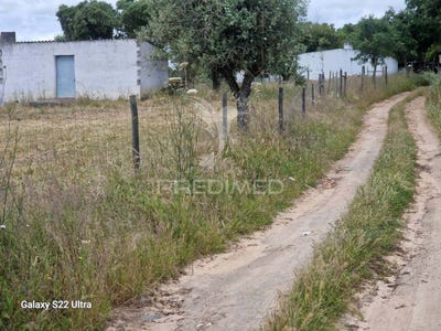 /international/pt/torrao-alcacer-do-sal-setubal-municipality-310100227925/?lang=fr