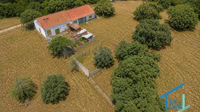/international/pt/tomar-santarem-310108758790/