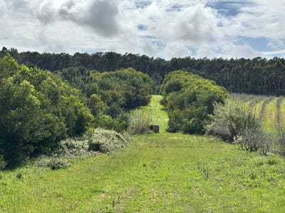 /international/pt/peniche-leiria-310099254899/