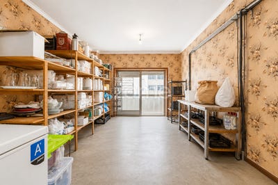 /international/pt/espinho-castelo-branco-310108484605/