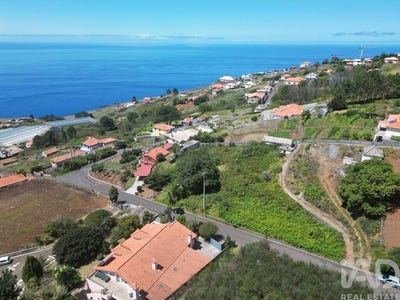 /international/pt/prazeres-madeira-310105831451/