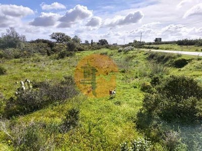/international/pt/azinhal-castro-marim-faro-310106779487/
