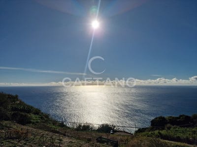 /international/pt/canhas-madeira-310108518537/
