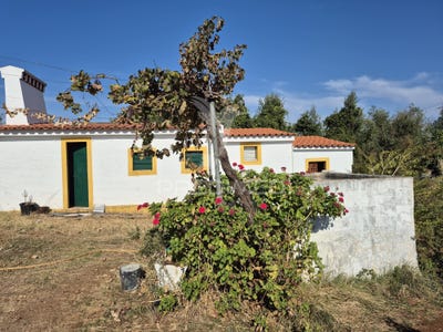 /international/pt/n-s-da-conceio-e-sao-bartolomeu-vila-vicosa-viseu-310102888343/