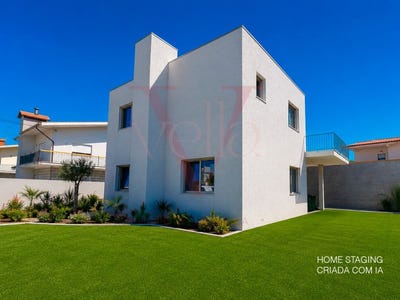 /international/pt/palmeira-braga-310108668628/
