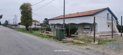 /international/pt/azinheira-dos-barros-e-sao-mamede-do-sadao-setubal-municipality-310101184961/?lang=zh-tw