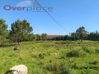 /international/pt/reguengo-grande-lisbon-310099899779/
