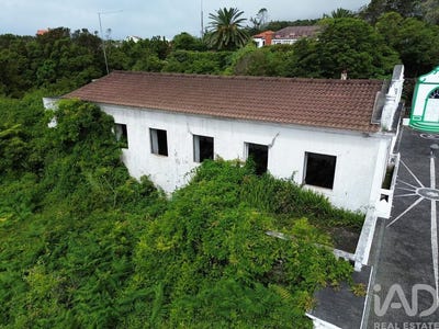 /international/pt/ilha-do-pico-azores-310101484643/