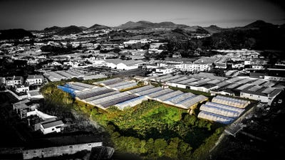 /international/pt/caminho-abelheira-de-baixo-portugal-ilha-de-sao-miguel-azores-310107523342/