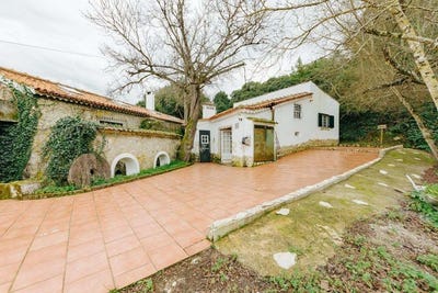 /international/pt/beco-da-azenha-no-6-almoster-portugal-almoster-santarem-310108040855/