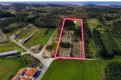 /international/pt/oliveira-do-bairro-aveiro-310108182348/