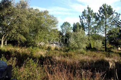 /international/pt/porto-de-mos-leiria-120073868310/